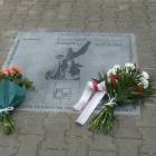 zdjęcie nr 26