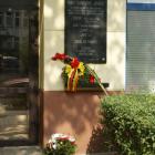 zdjęcie nr 11