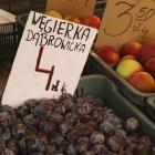zdjęcie nr 27