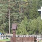 Fotka nr 5 z 45