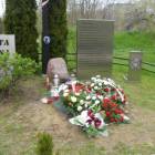 zdjęcie nr 29