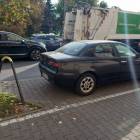Fotka nr 4 z 8
