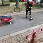 Fotka nr 2 z 15