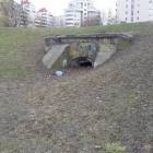 Fotka nr 2 z 4
