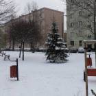 zdjęcie nr 29