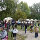 zdjęcie nr 38