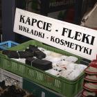 zdjęcie nr 8