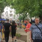 zdjęcie nr 95