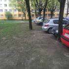 zdjęcie nr 26