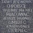 zdjęcie nr 24