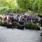 zdjęcie nr 16