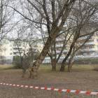 zdjęcie nr 13