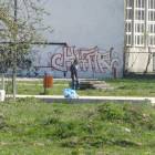 zdjęcie nr 7