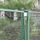 zdjęcie nr 33
