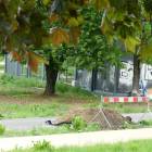 zdjęcie nr 18