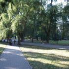 zdjęcie nr 8