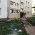 zdjęcie nr 12
