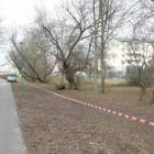 zdjęcie nr 12