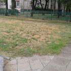 zdjęcie nr 8