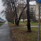 Fotka nr 2 z 4