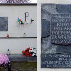 zdjęcie nr 14