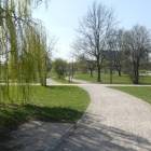 zdjęcie nr 33