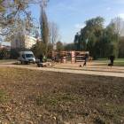 zdjęcie nr 14