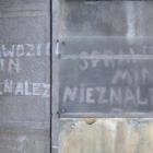 Fotka nr 4 z 15