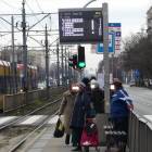 zdjęcie nr 11