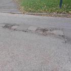 zdjęcie nr 7