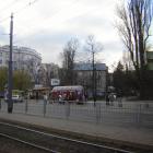Fotka nr 4 z 22