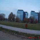 zdjęcie nr 8