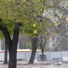zdjęcie nr 7