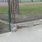 zdjęcie nr 36