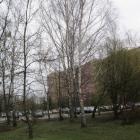 Fotka nr 2 z 11