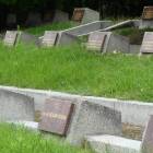 zdjęcie nr 35