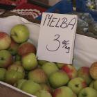 zdjęcie nr 14