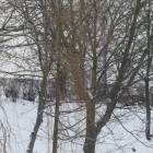 zdjęcie nr 9
