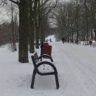 zdjęcie nr 20