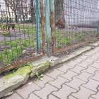 zdjęcie nr 24