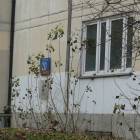 zdjęcie nr 28