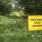 zdjęcie nr 24