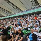 zdjęcie nr 10