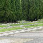 zdjęcie nr 31