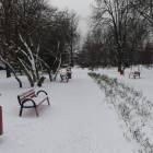 zdjęcie nr 38