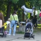 zdjęcie nr 21