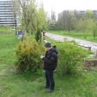 zdjęcie nr 33