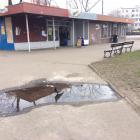 zdjęcie nr 16