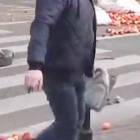 zdjęcie nr 27