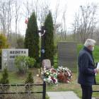 zdjęcie nr 33